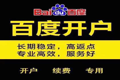 SEM托管成功案例：揭秘高效广告投放策略